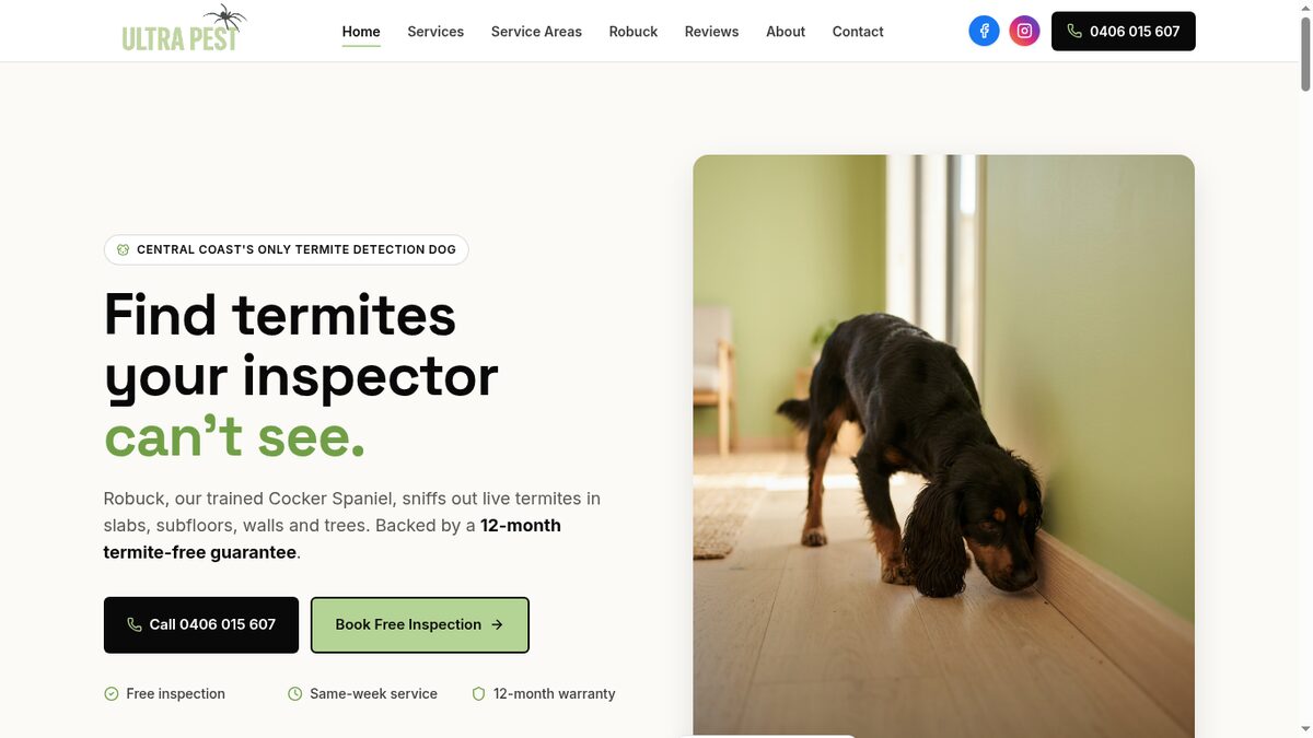 Pest Control website screenshot